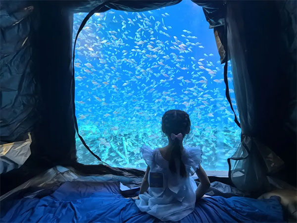 8月(yuè)2日(rì)海(hǎi)洋夜宿火(huǒ)熱(rè)招募！與魚共眠的(de)浪漫奇遇名額有(yǒu)限，速來(lái)！